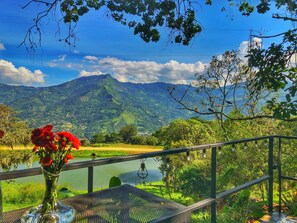 Cabin Deluxe (Casa del Bosque) | Quang cảnh từ phòng