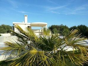 Área de parrilladas y picnic