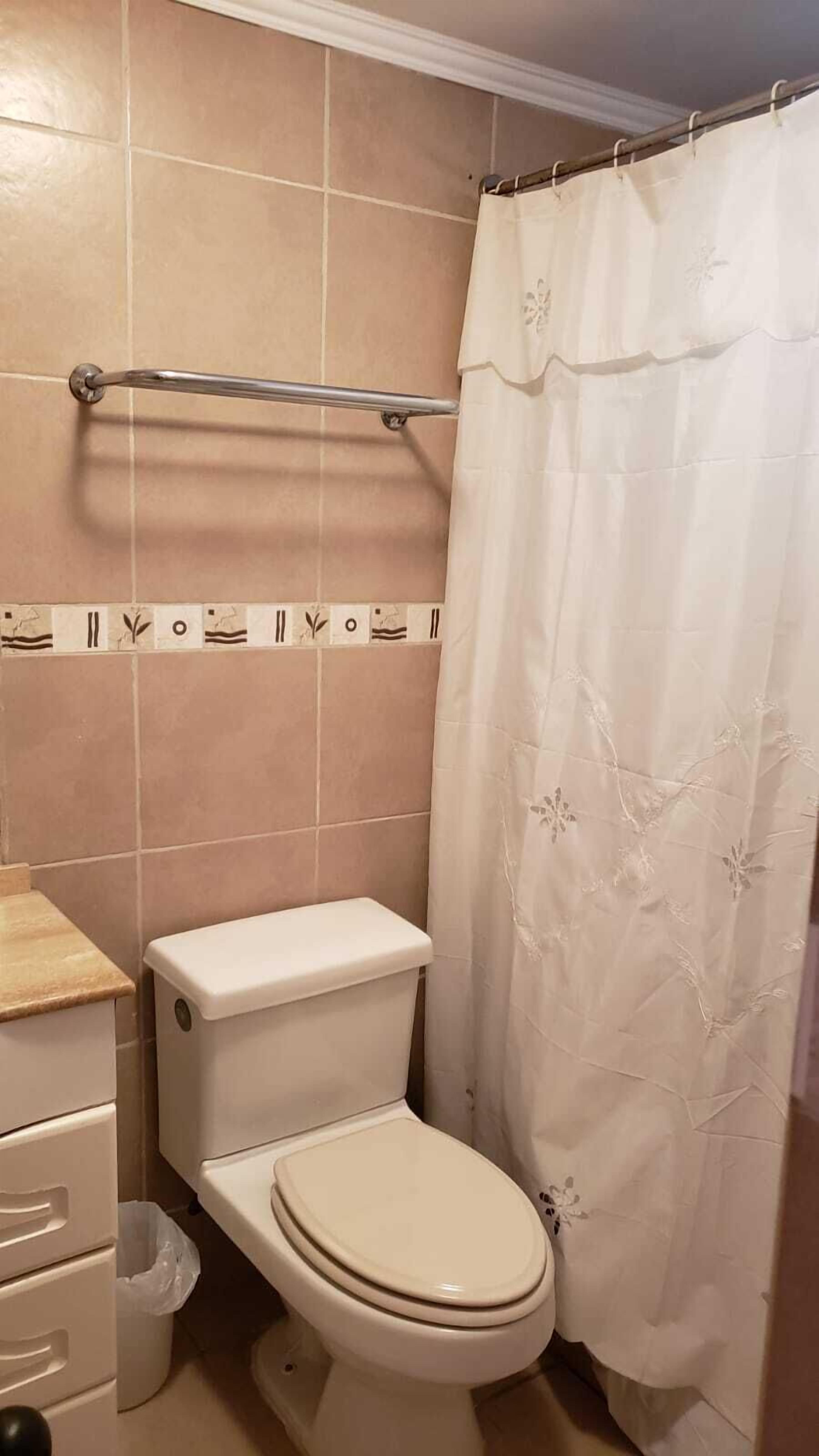 Un baño con inodoro, barra de apoyo y cortina de ducha.