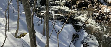 A snowy forest scene with a stream.