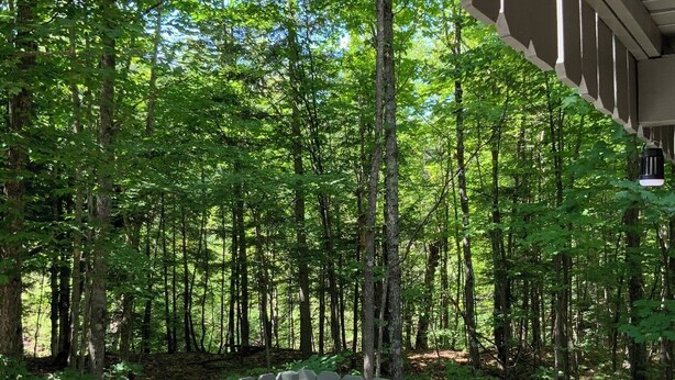 Un ponte di legno con una panchina e due tavoli bianchi rotondi, immerso in una foresta.
