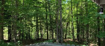 Cozy creekside cabin near Big Powderhorn's Lift #1 & Recreational Trail #2!!