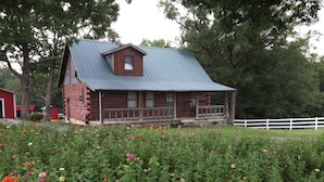 Une cabane rustique en rondins de bois, surmontée d’un toit en métal, entourée d’un jardin luxuriant où poussent différentes variétés de fleurs.