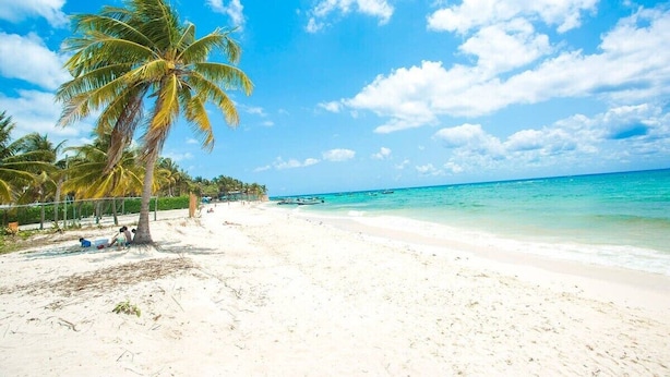 A beach with white sand, palm trees, and clear blue water. - Great 1BR Condo w/ Pool, Near Beach! AC! (Playa Del Carmen)