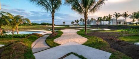 A pathway leading to a building surrounded by palm trees and greenery.