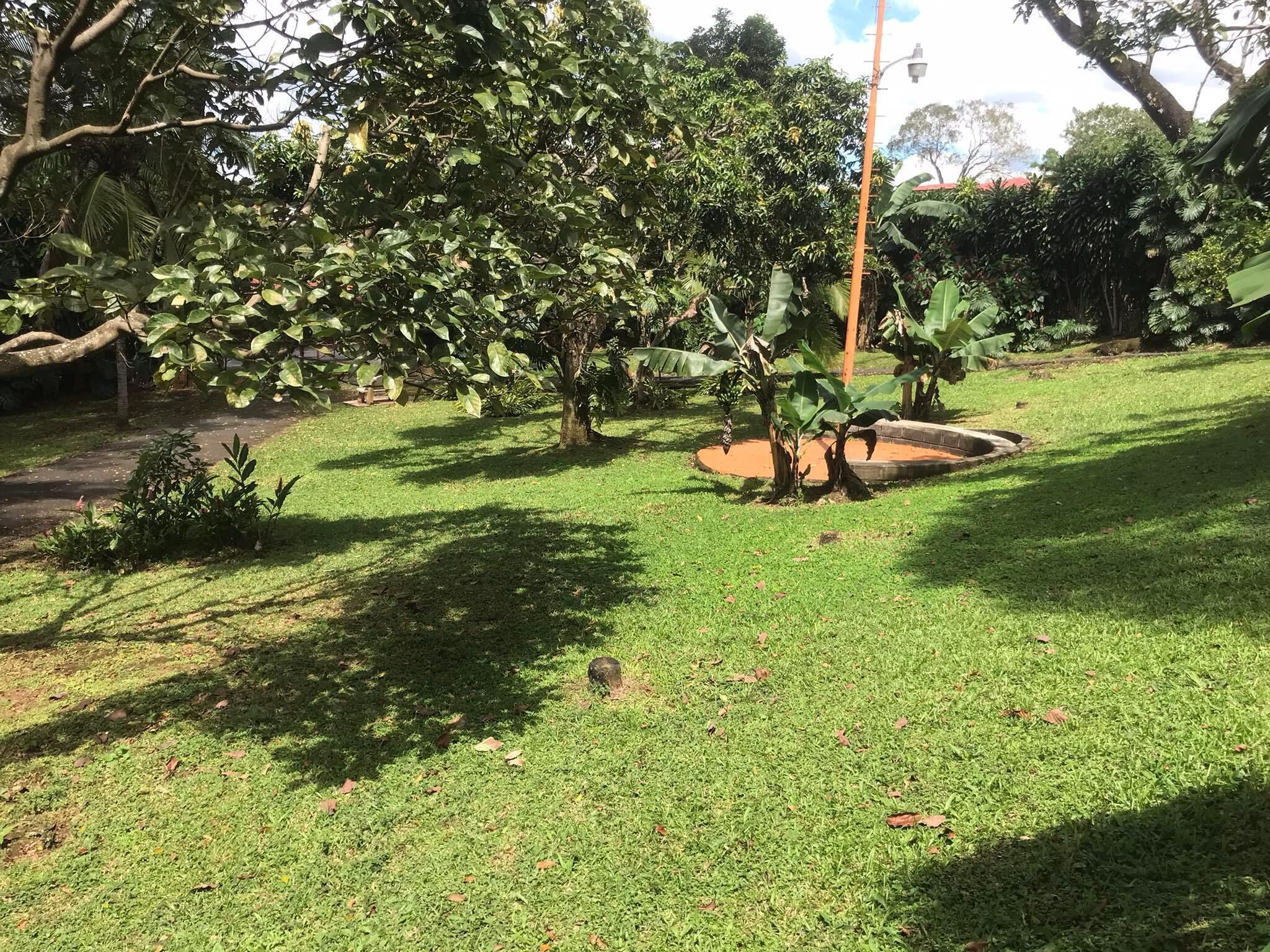 A well-maintained grassy area with trees and a small pond.