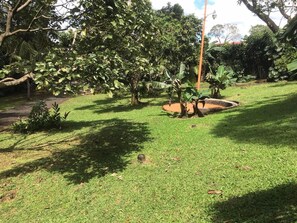 Property grounds - Blanc Haus 5 min from the center of Greece  (Grecia)