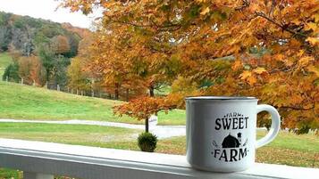 Área da propriedade