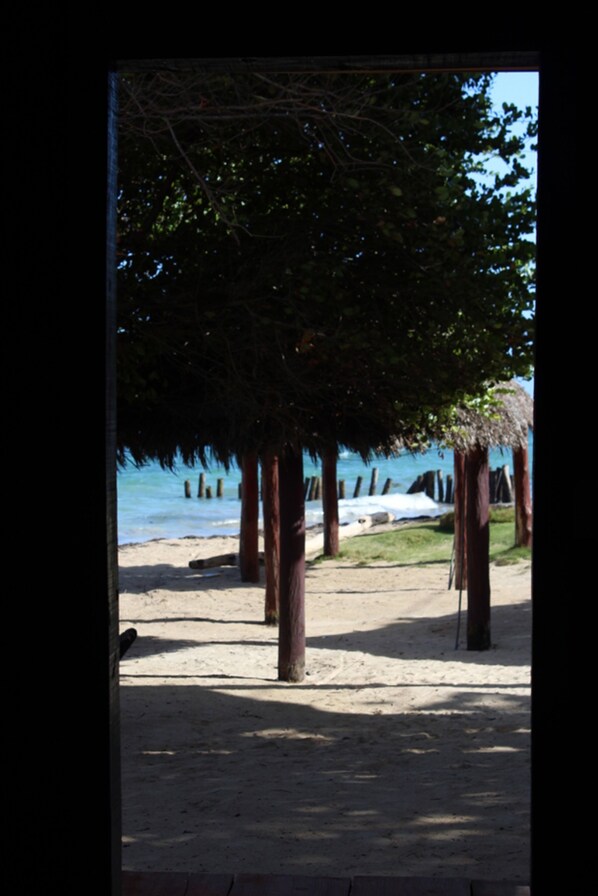 Vue sur la plage/l’océan