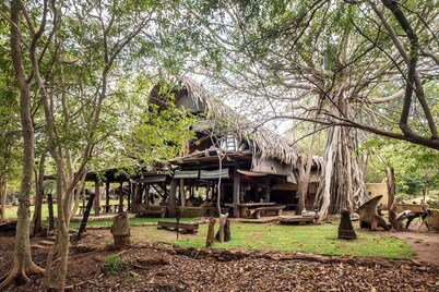 Banyan Camp Banyan Lodge Eco Retreat on Full Board Basis