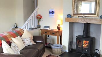 TV, fireplace, DVD player