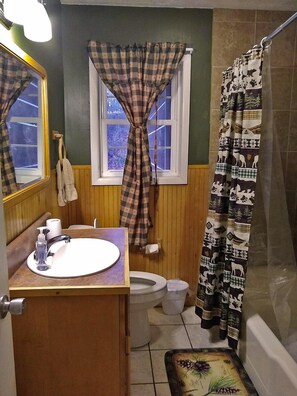 Ensemble baignoire-douche, séchoir à cheveux, serviettes fournies