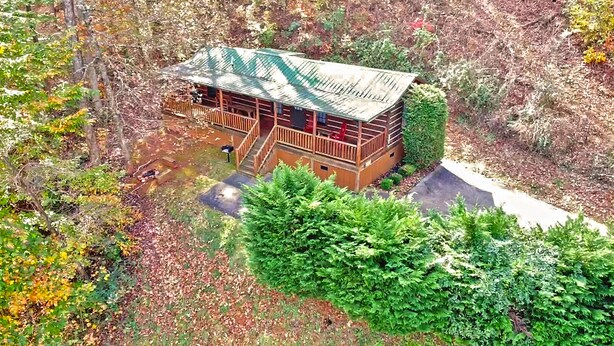 Une cabane dotée d’un porche, entourée d’une forêt dense.