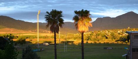 Vista de un campo deportivo con palmeras, una cadena montañosa distante y un pequeño edificio con un cartel que dice "STEERS".
