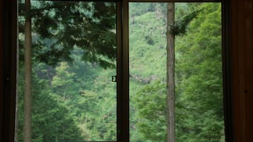 Private Vacation Home | View from room