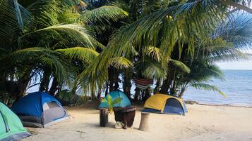 Standaard tent (6) | Gratis wifi, beddengoed