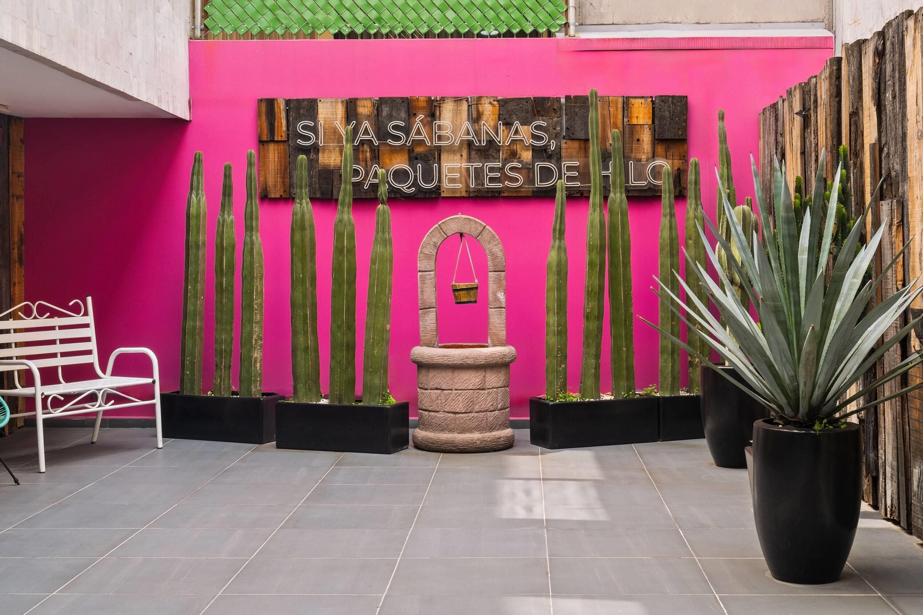 Foto - Hotel MX lagunilla CDMX, Trademark Collection by Wyndham