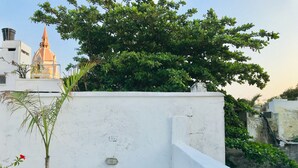 Une terrasse sur le toit, avec un mur blanc, un pot de fleurs et une vue sur un bâtiment doté d’un dôme et d’une flèche.