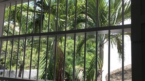 Une vue à travers une grille métallique, avec en arrière-plan une végétation tropicale luxuriante.