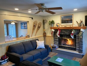 Smart TV, fireplace, books