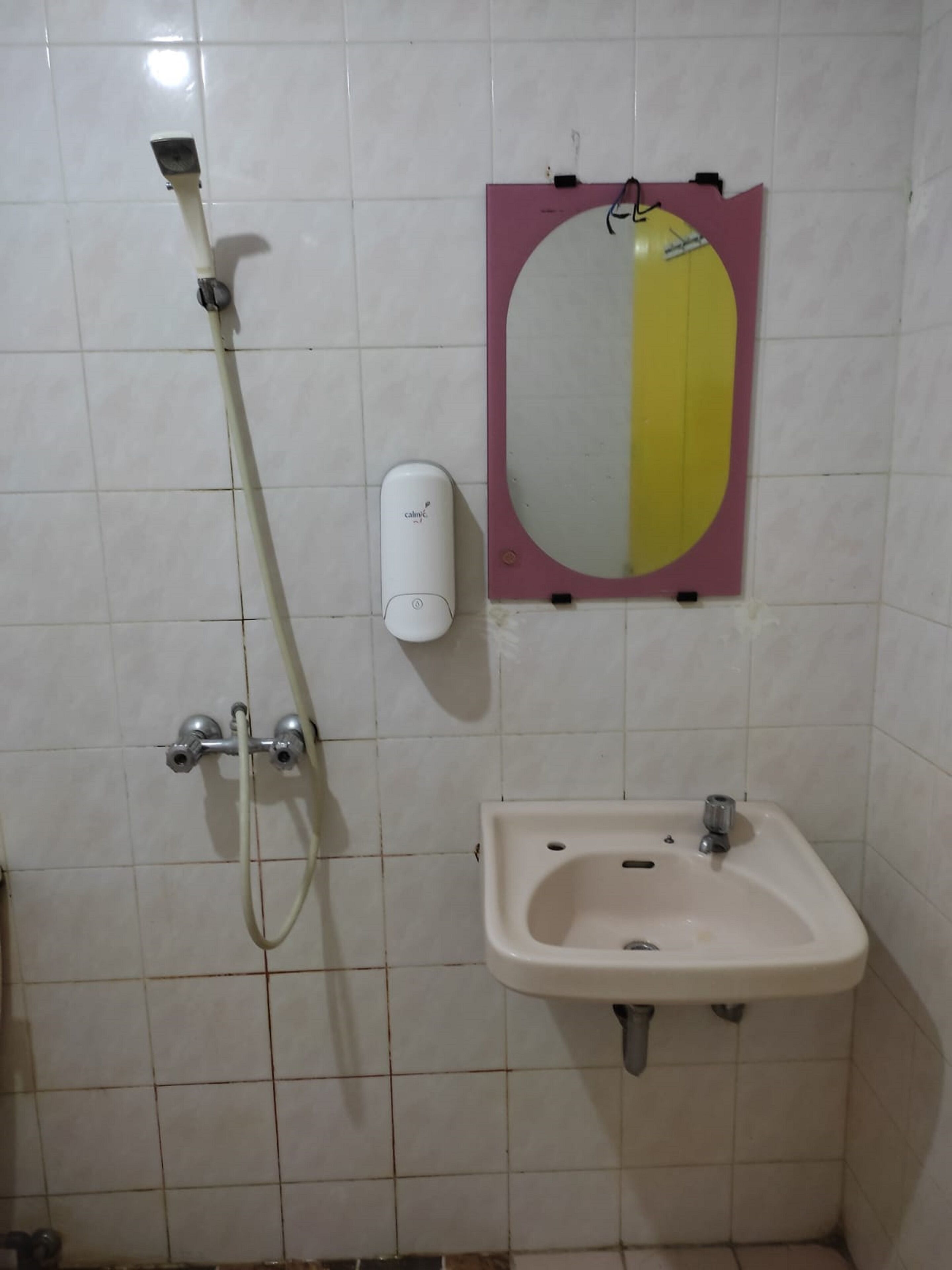 Une salle de bain avec une douche, un lavabo et un miroir.