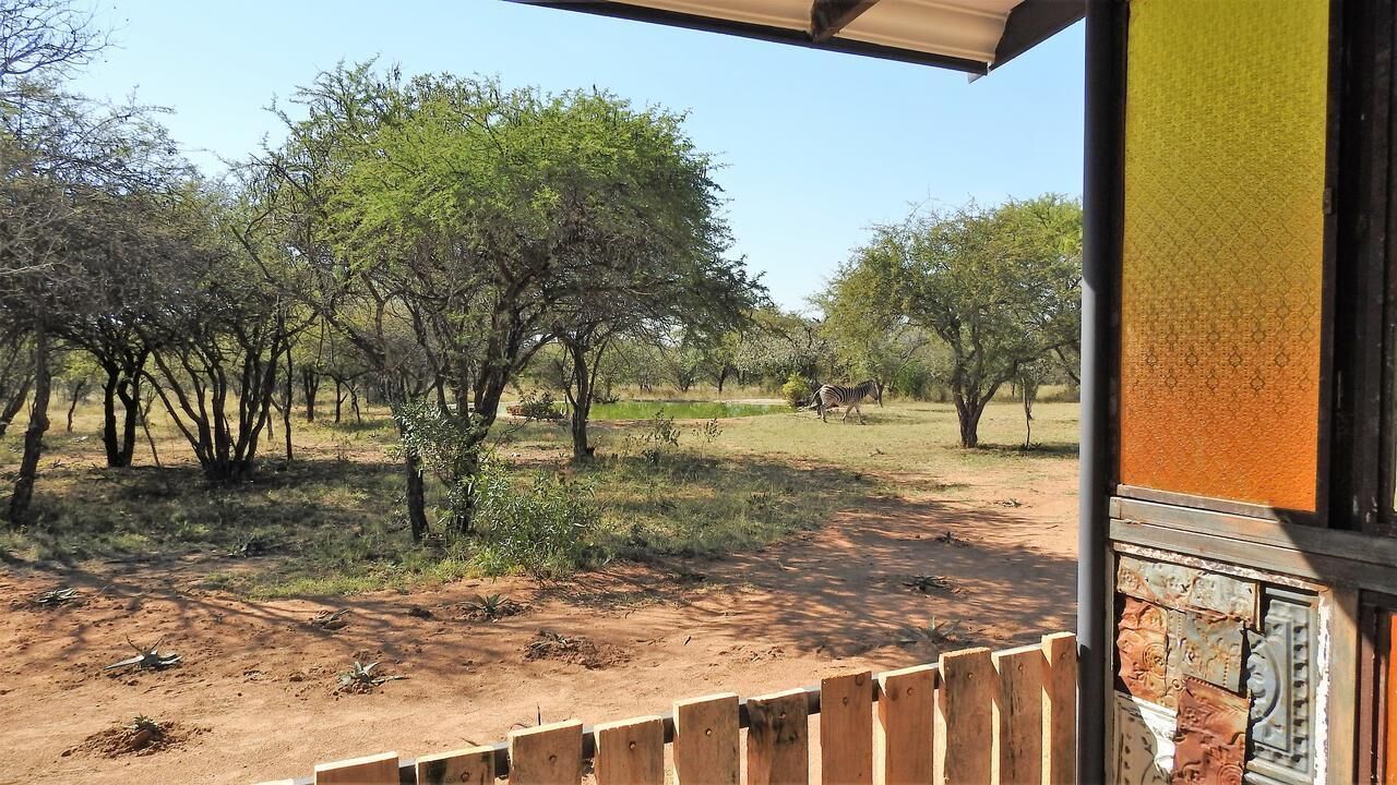 Uitzicht vanaf een overdekt terras op een natuurlandschap met bomen en een onverhard pad.
