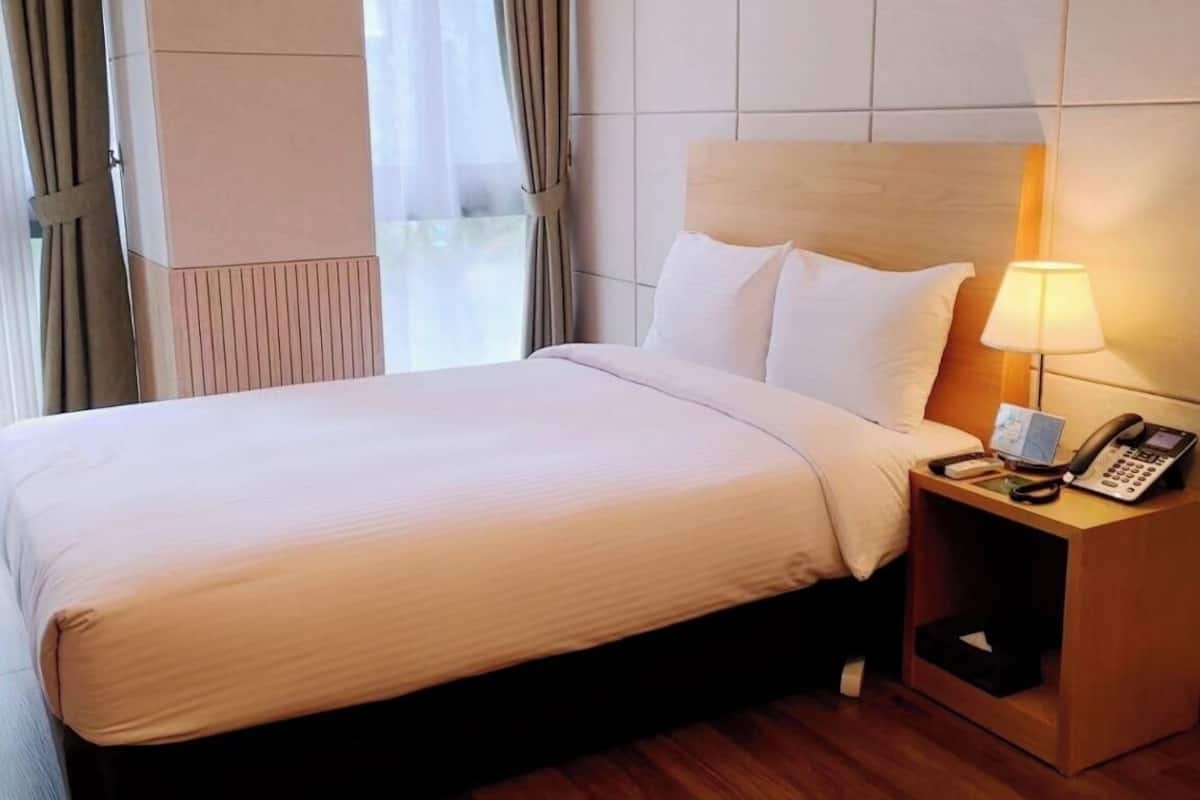 Habitación de hotel con una cama grande, una mesita de noche con lámpara y vistas al exterior a través de una ventana con cortinas.