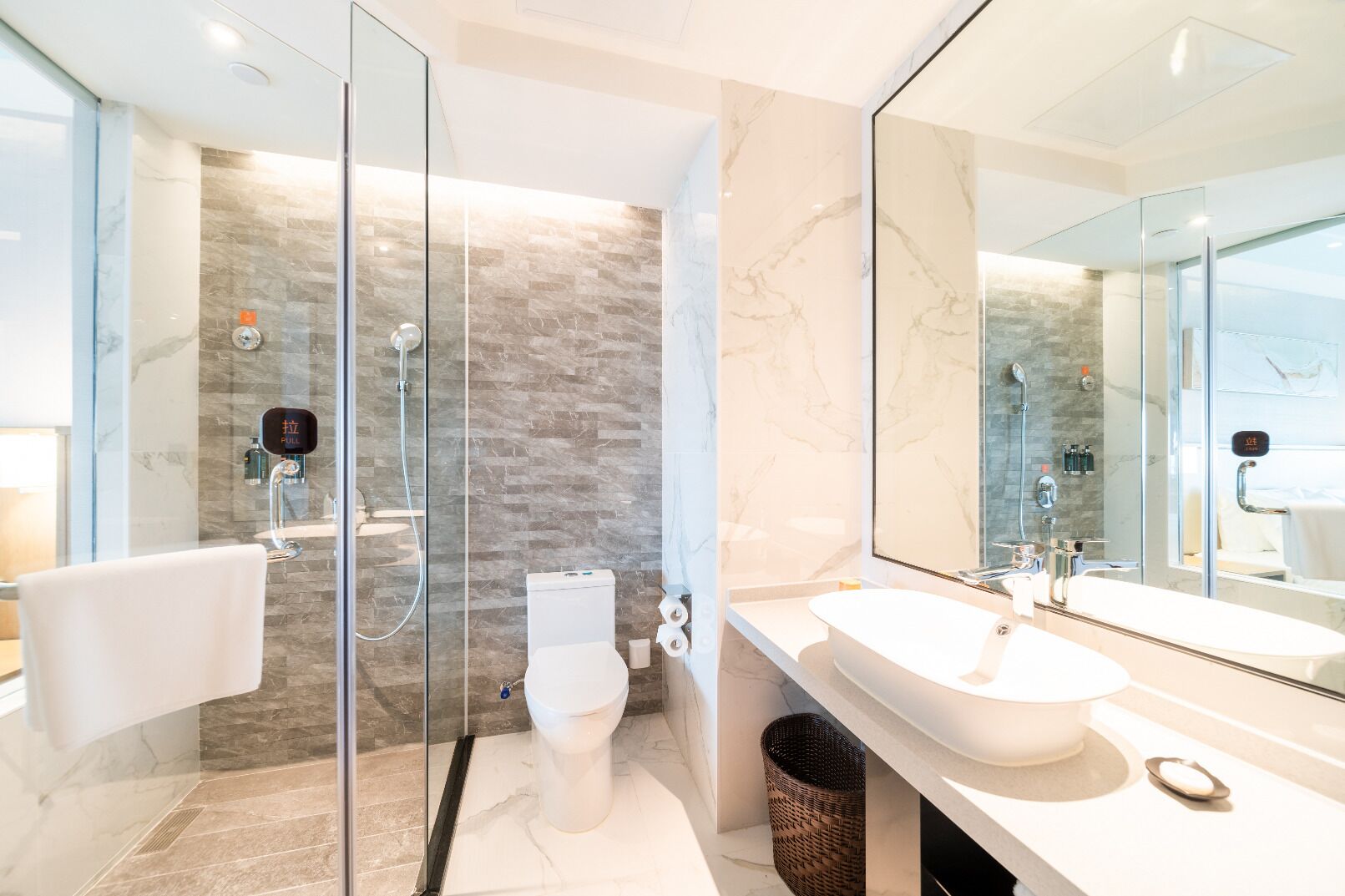 deluxe room | bathroom | shower, rainfall showerhead, free toiletries, hair dryer