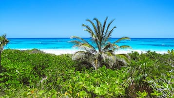 Chaises longues, serviettes de plage