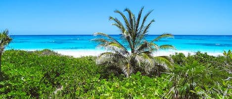 Chaises longues, serviettes de plage