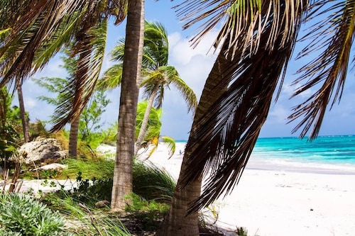 Ocean View Coral - Private Beach Resort