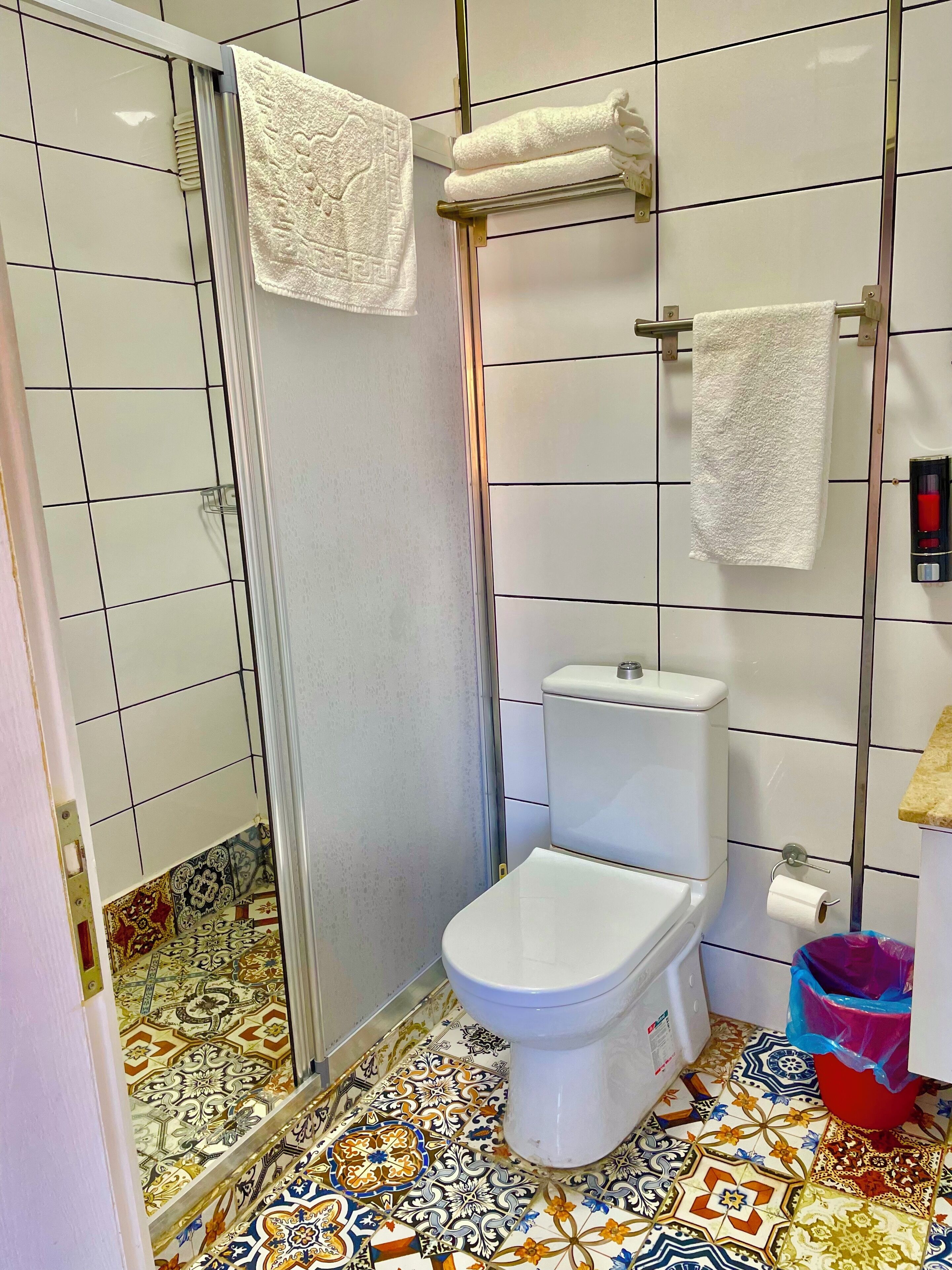 Un baño con ducha, inodoro y suelo con baldosas estampadas.
