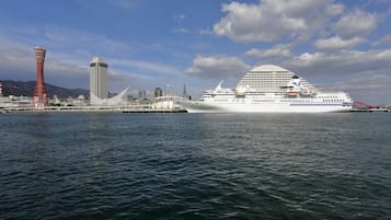 Un grand navire de croisière était amarré dans un port, avec la silhouette d’une ville en arrière-plan.