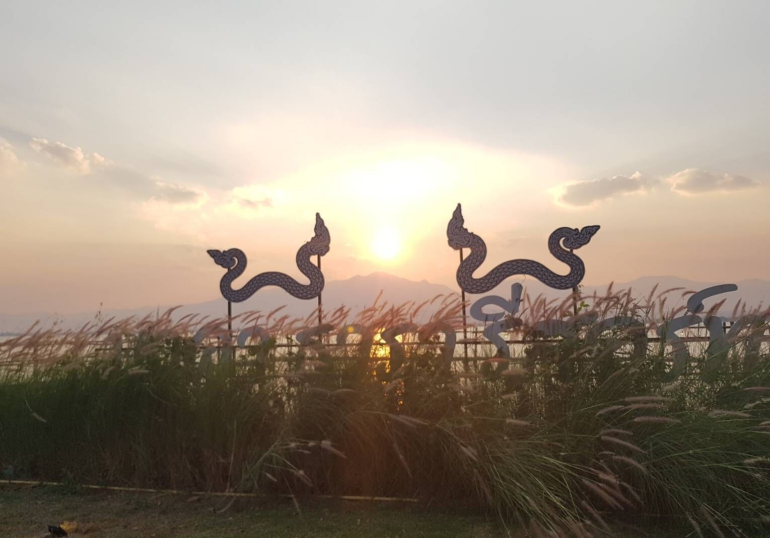 외부 세부 사진