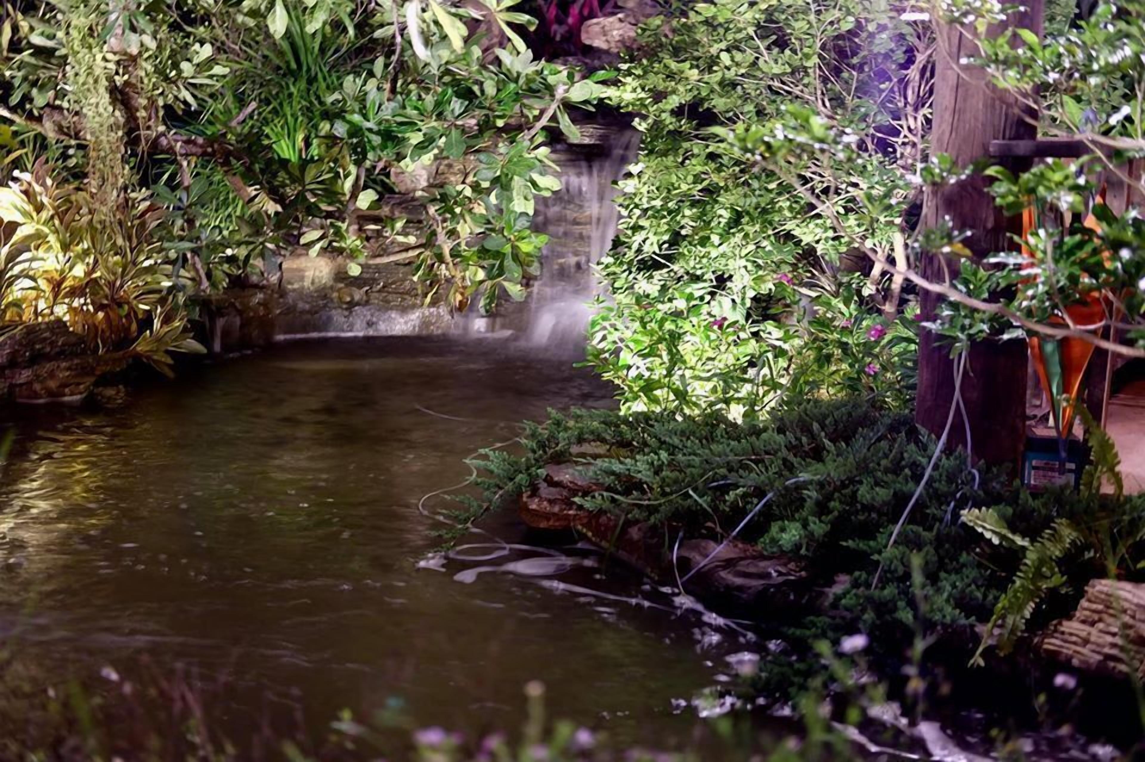 Una pequeña cascada en un jardín exuberante, con abundante follaje y una estructura de madera cerca.