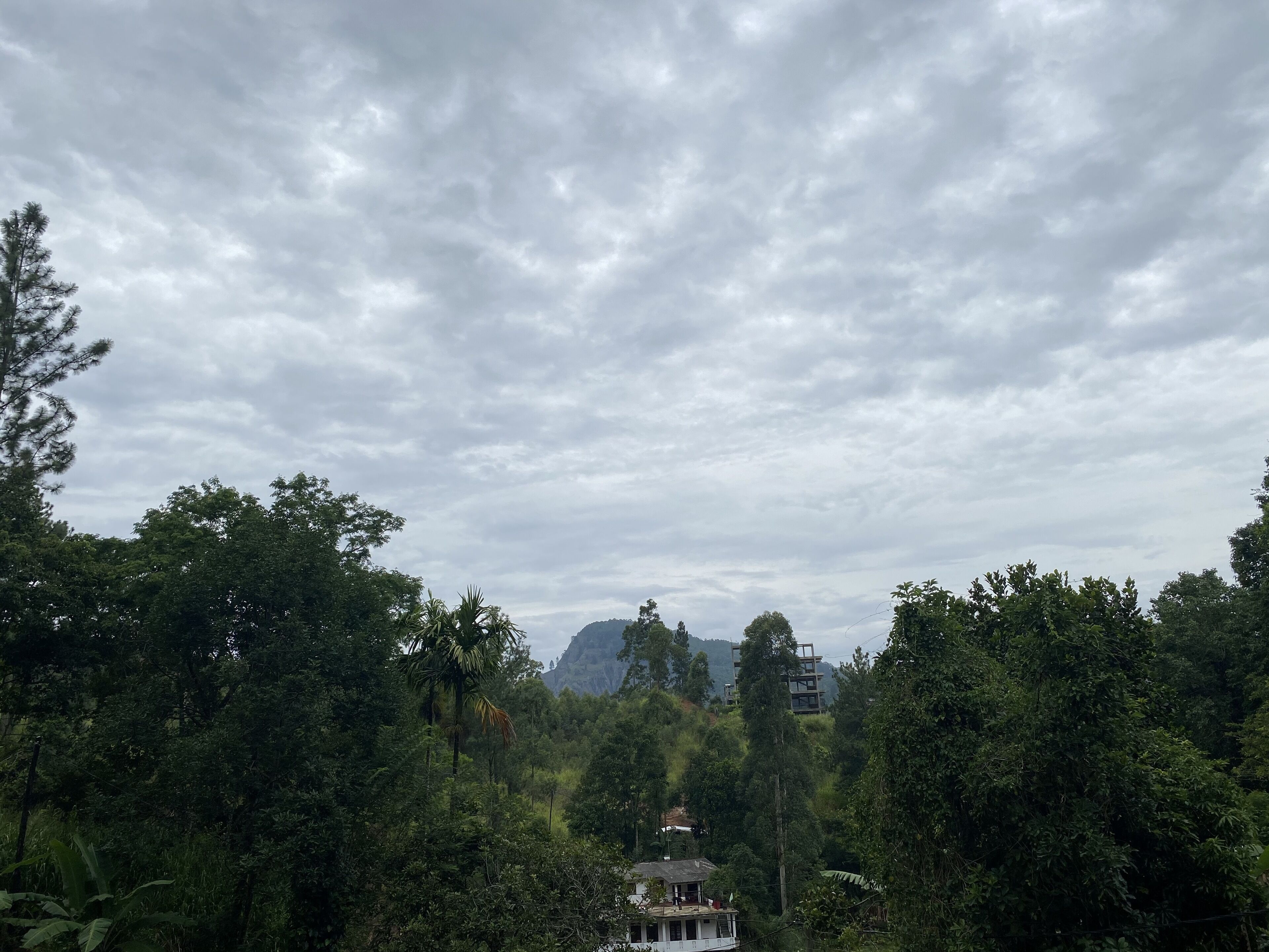 Foto - Misty Elegance - Ella.