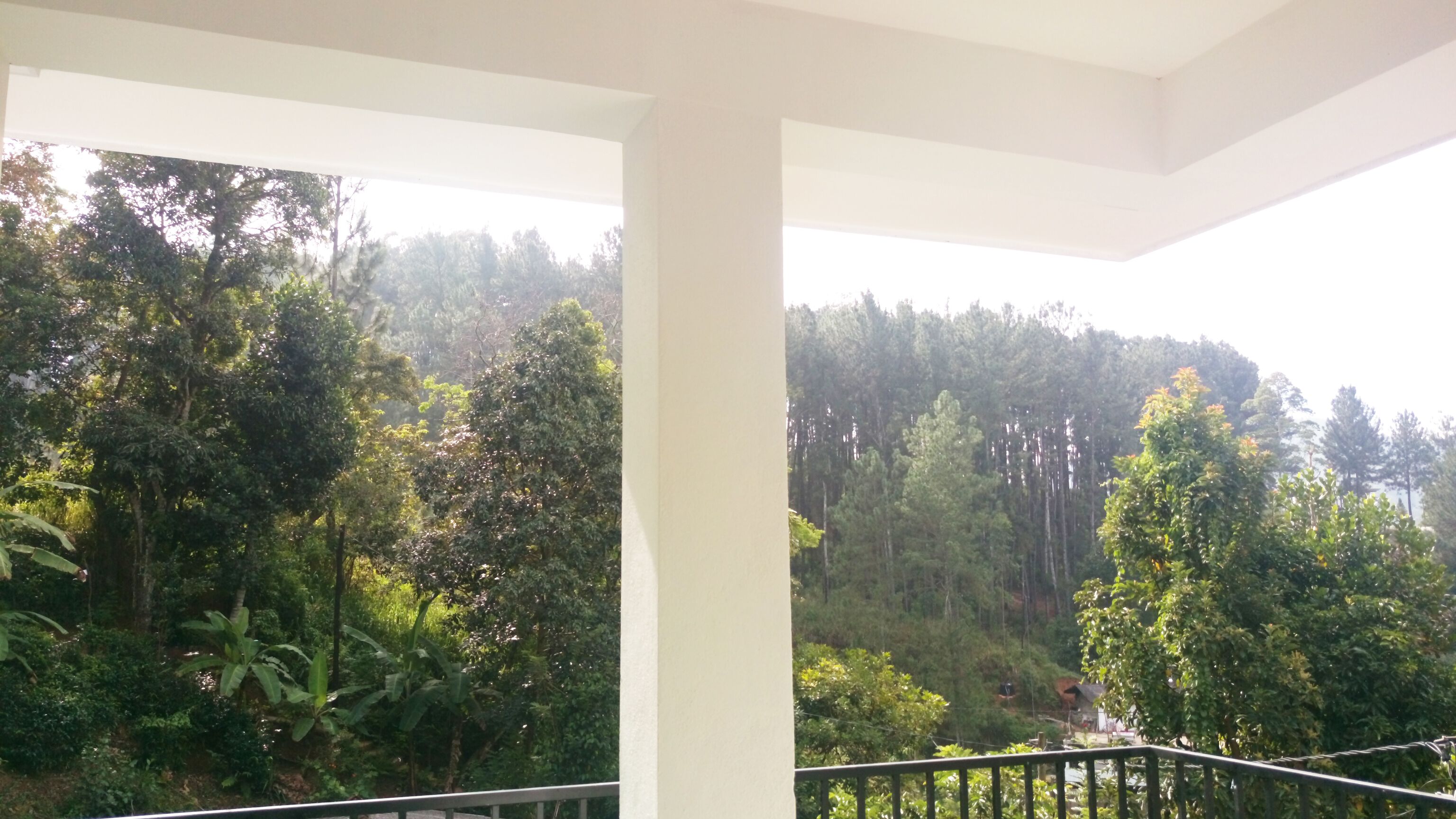 Foto - Misty Elegance - Ella.