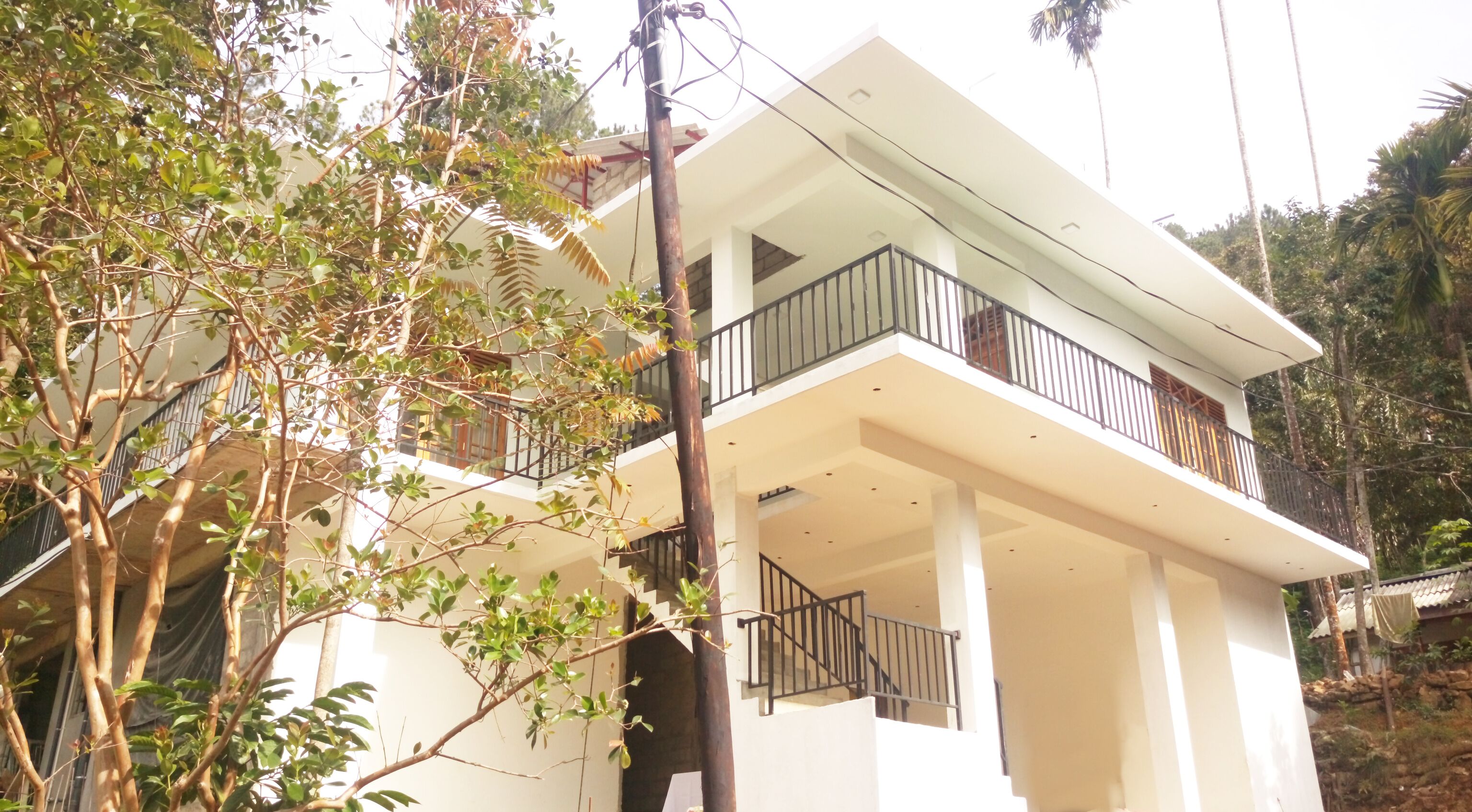 Photo - Misty Elegance - Ella.