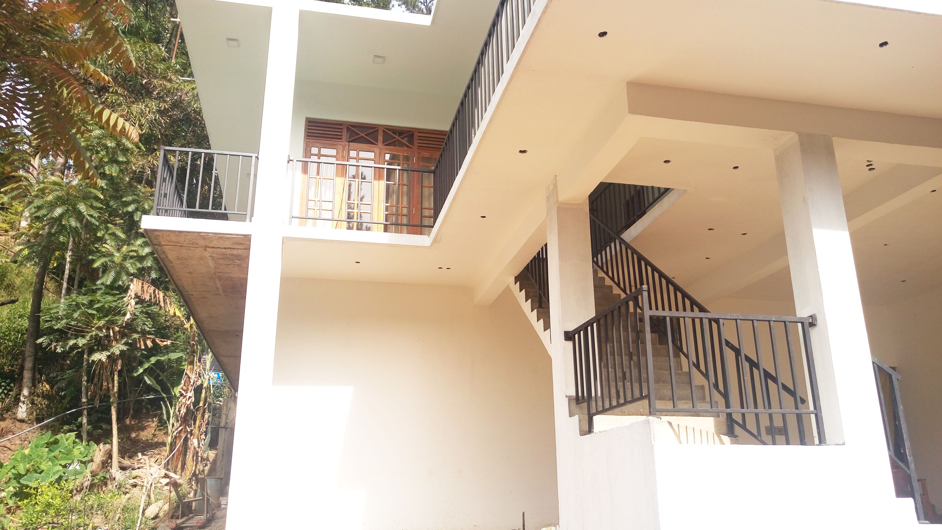 Foto - Misty Elegance - Ella.