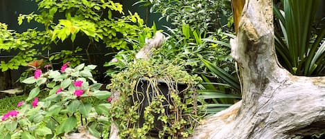 A garden with a large tree stump, various plants, and a green wall in the background.