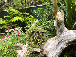 Un jardín con un tronco de árbol grande, varias plantas y una pared verde al fondo.