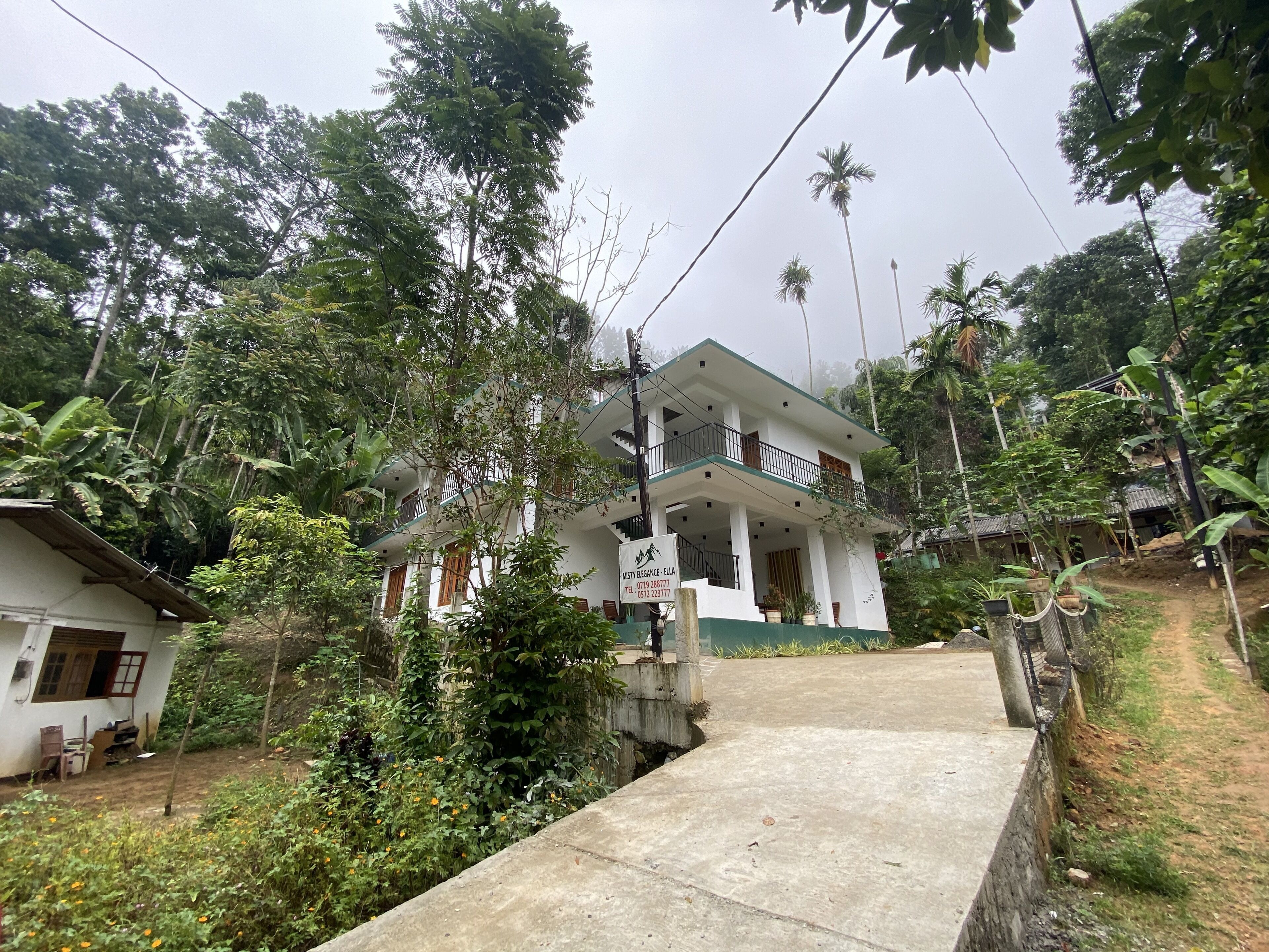 Photo - Misty Elegance - Ella.