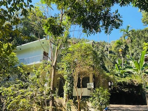 Un edificio con balcón, rodeado de abundante follaje y árboles.