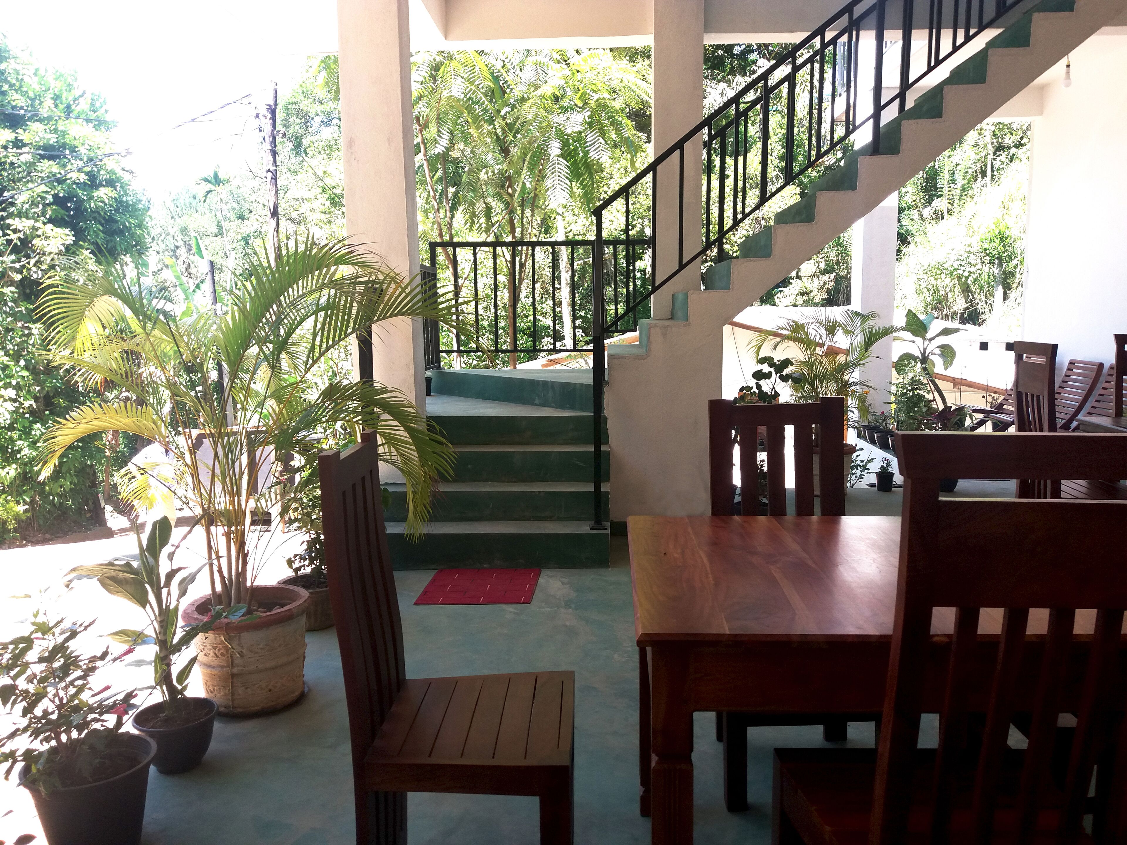 Photo - Misty Elegance - Ella.