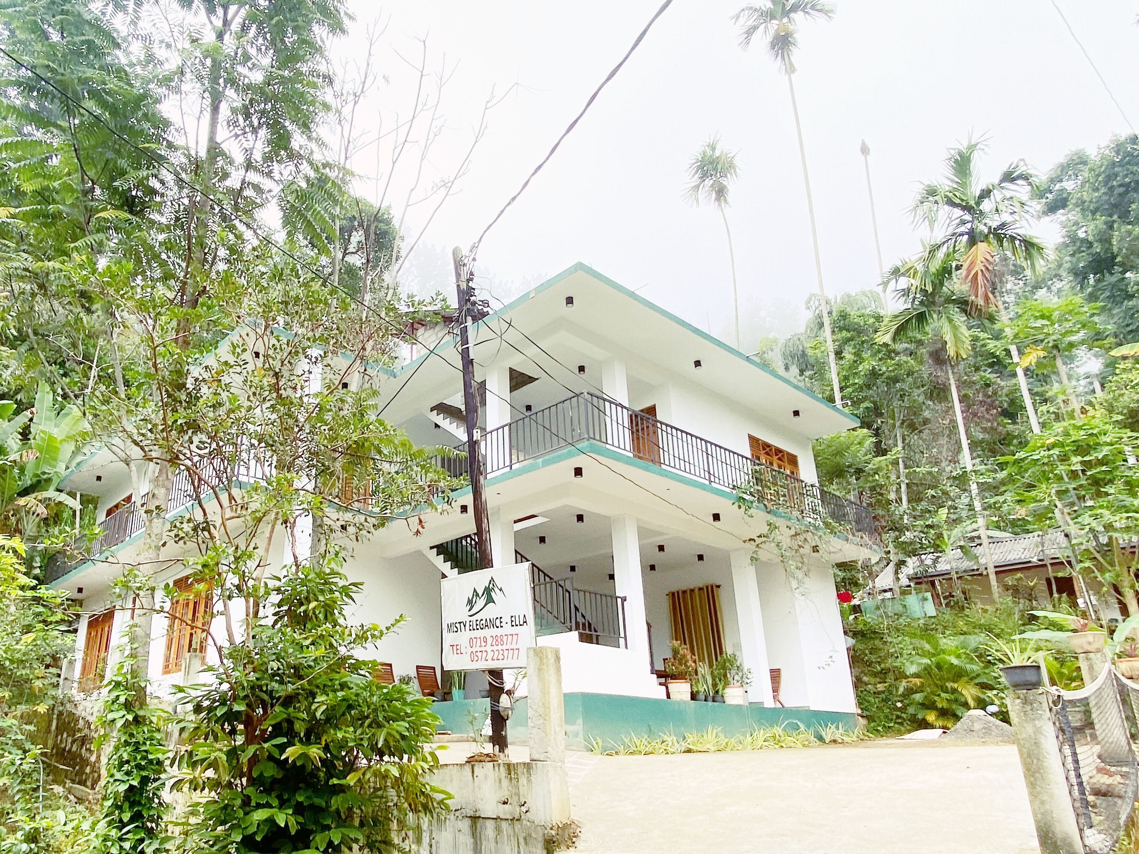 Photo - Misty Elegance - Ella.