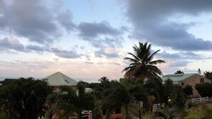 A residential area with a house featuring a green roof, surrounded by lush greenery and palm trees. - VillaRosa Guadeloupe (Sainte-Rose)