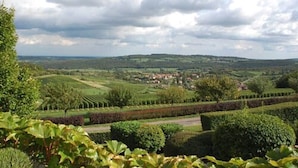 A landscaped garden with neatly trimmed hedges and a variety of trees. - Hotel La Montagne de Brancion (Martailly-Les-Brancion)