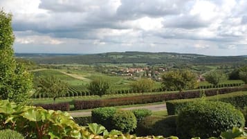 Vista al paisaje