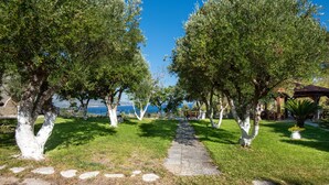 Un sendero bordeado de árboles con vista al mar.