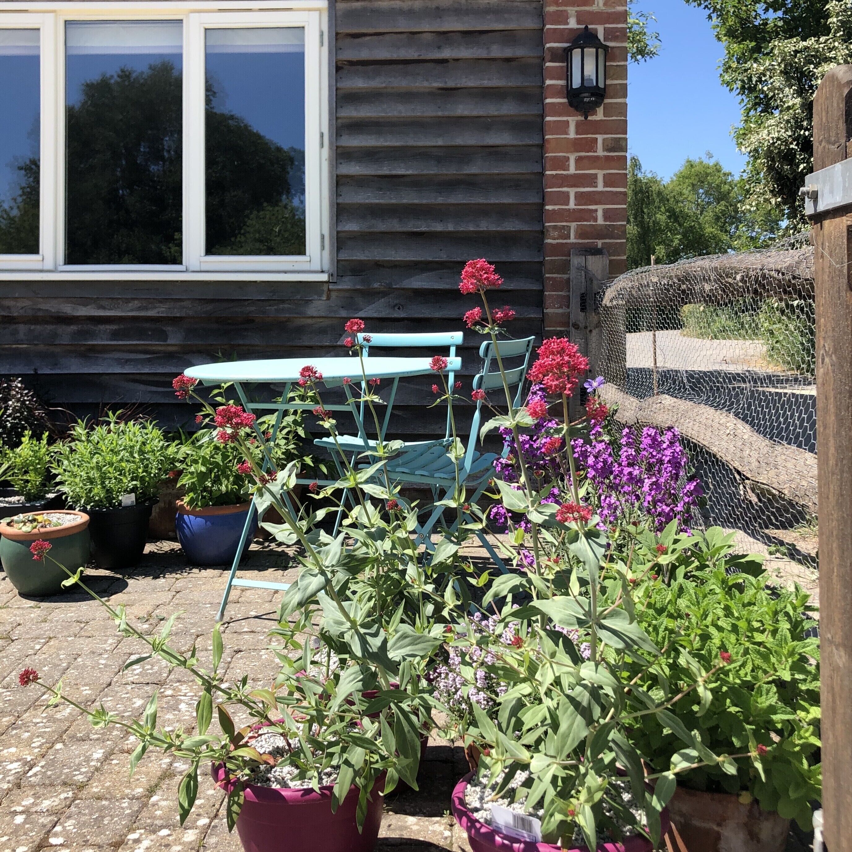 Un patio con plantas en macetas, una mesa de madera y sillas.